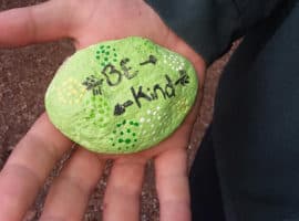 Elko County Painted Kindness Rocks