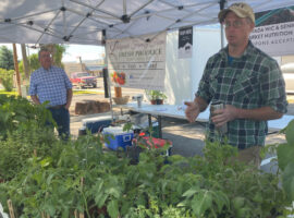 Spring Farmer's Market