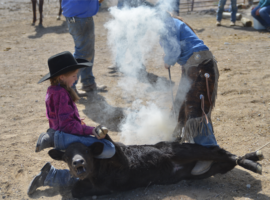 Branding Season Elko, NV