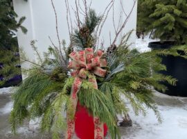 Fresh Wintergreen Decor