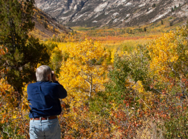 Lamoille Canyon Artists