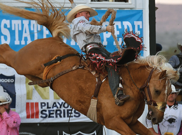 Silver State Stampede