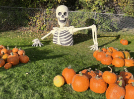 Everything Elko Pumpkin Festival