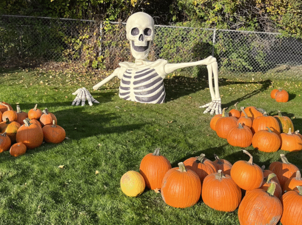 Everything Elko Pumpkin Festival